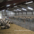 Prefabricated Steel Sheep Farm Agricultural Building